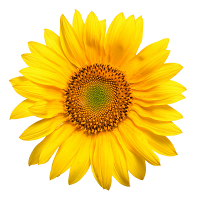 Αργολίδα Καβάλα Ρέθυμνο Άλιμος Βριλήσσια Ζαχάρω Κασσάνδρα Μαλεβίζιο Ξάνθη Πύργος Τριφυλία